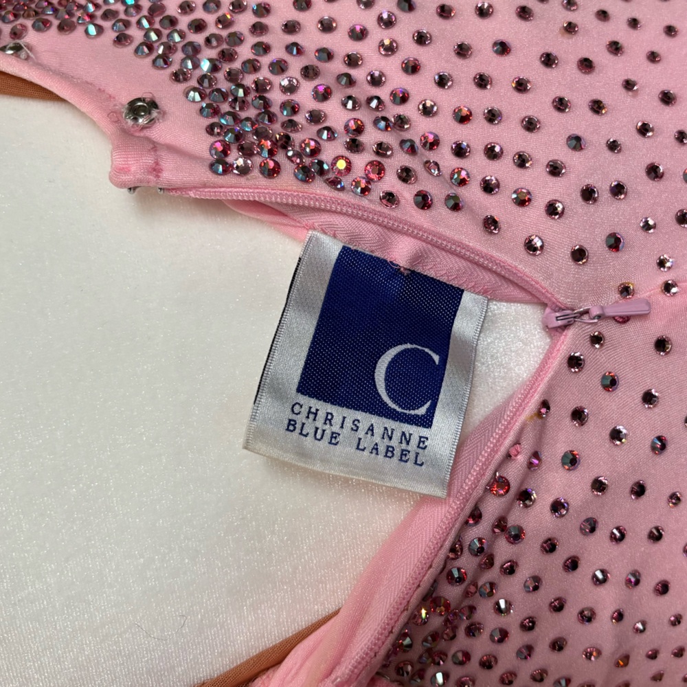 Chrisanne Couture Pink Ballroom Gown with Removable Standard Floats - Picture 8 of 9